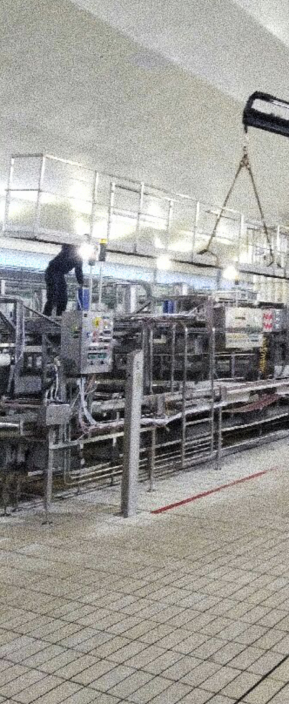 sotrama-levage-manutention-demolition-demenagement-industriel6